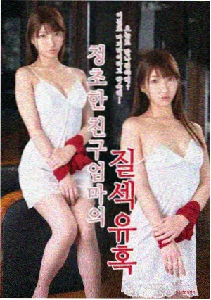 海岸线以南 完整版剧集在线观看